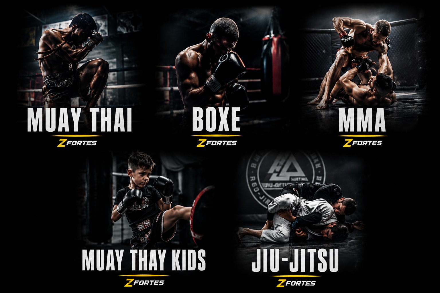 Modalidades ZFortes: Muay Thai, Boxe, MMA, Muay Thai Kids e Jiu-Jitsu